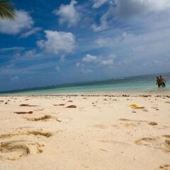 JMS Ventures in La Digue, Seychelles from 226$, photos, reviews - zenhotels.com photo 7