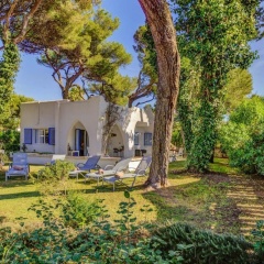 New 2020 Casa Plomer - Bild 11