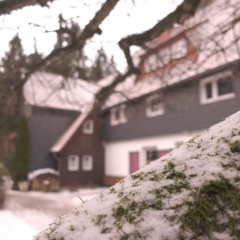 Ferienwohnungen Wiesenhof - Bild 8