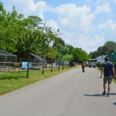 Camping Village Citta Di Milano - Bild 16