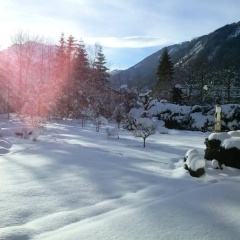 Erler Hotel Garni - Bild 16