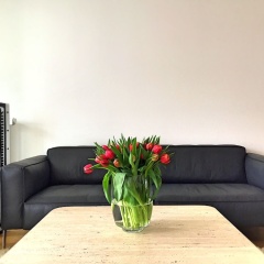 The Apartment Downtown - Bild 11