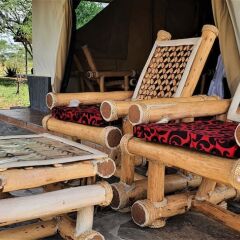 Africa Safari Serengeti Ikoma in Serengeti National Park, Tanzania from 230$, photos, reviews - zenhotels.com photo 29