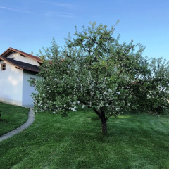 Ferienwohnungen Martina - Bild 15