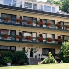 Allee Hotel Leidinger - Bild 1