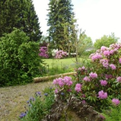 An Der Quelle - Bild 9