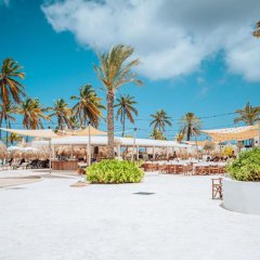 Mangrove Beach Corendon Curacao All-Inclusive Resort, Curio by Hilton in Otrobanda, Curacao from 350$, photos, reviews - zenhotels.com photo 50