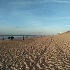 Strandperle - Bild 9