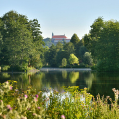 Holiday Inn Express Fulda by IHG - Bild 22