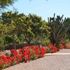 Finca Son Blat - Bild 13