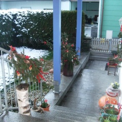 Ferienwohnung Ortl 7 (Adults Only) - Bild 5