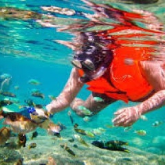 Gili Breeze Tropical Bungalows - Bild 28