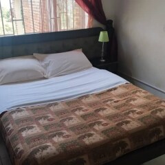 Domino Lodge in Zomba, Malawi from 57$, photos, reviews - zenhotels.com photo 2