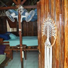 Hostel daTerra in Dili, East Timor from 83$, photos, reviews - zenhotels.com photo 20