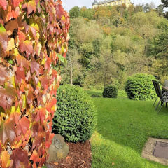 Ferienwohnung Königsquellenpark - Bild 11