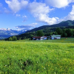 Pension Loiplstv Berl - Bild 7