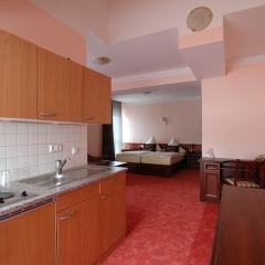 Apart Hotel Scheuer - Bild 15