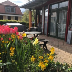 1a Ferienwohnung - Bild 1