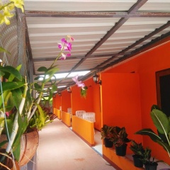 Phi Phi Coralbay - Bild 8