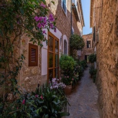 Sol Port Soller - Bild 1