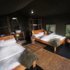 Nature Homes - Africa Amini Life thumbnail 2