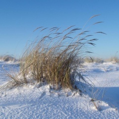 Ferienhaus Nordstrand Whg 4 - Bild 15
