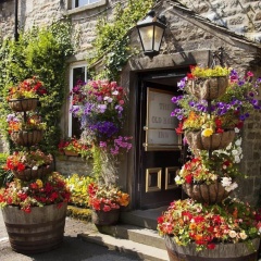The Old Hall Inn thumbnail 8