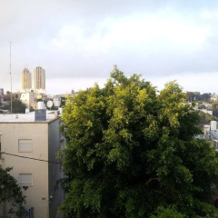 Marom Carmel Center Apartments thumbnail 1