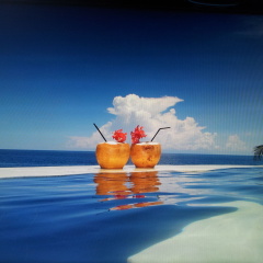 TOYABALI - Resort - Bild 3