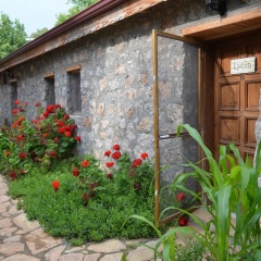 Faralya Limon Hotel - Bild 1