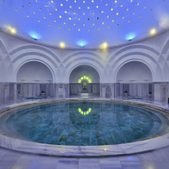 Celik Palace Hotel Convention Center & Thermal SPA - Bild 25