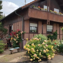 Ferienwohnung Salut - Bild 1