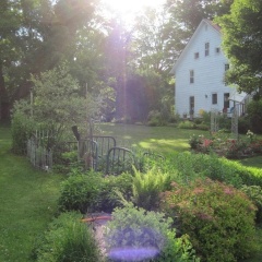 Maple House Bed & Breakfast thumbnail 20