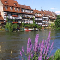 Best Western Hotel Bamberg - Bild 15