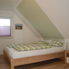 Zaunkönig 1. - Bild 4