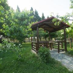 Отель El Resort Азербайджан, Гах - отзывы, цены и фото номеров - забронировать отель El Resort онлайн фото 2
