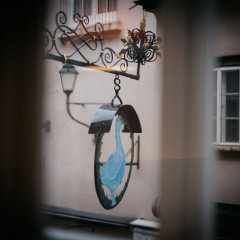 Arthotel Blaue Gans - Bild 19