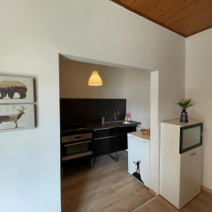 Paradiesisch Wohnen Wiesbaden - Bild 8