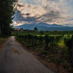Tenuta San Michele thumbnail 24