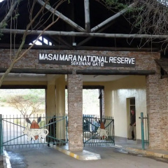 Sekenani Camp