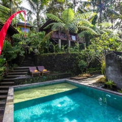DD Ubud Jungle Villa - Bild 8