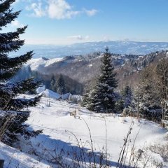 Holiday Home Relax in Kopaonik, Serbia from 130$, photos, reviews - zenhotels.com photo 4