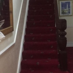 The Pines Guest House thumbnail 10