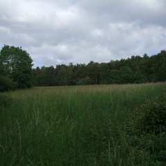 Parkhotel Hammerberg - Bild 16