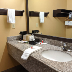 Platinum Inn & Suites Willowbrook Houston thumbnail 13