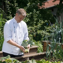 Pension Zum Ebenstein am Donausteig - Bild 7