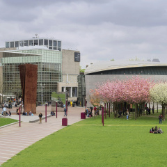 Mandarin Oriental Conservatorium, Amsterdam thumbnail 29