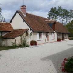 Gite Cour-Cheverny, 3 pièces, 5 personnes - FR-1-491-225 photo 2