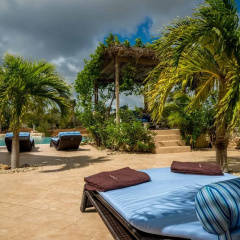 You & Sea Bonaire Apartments thumbnail 15