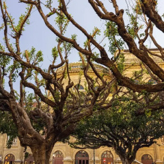 Solemar Sicilia - Palazzo Massimo